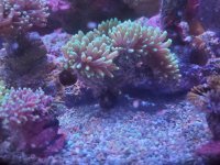 20210717_185640.jpg