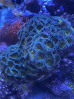 520D1564-25CF-4E72-880F-92D828FF8745.jpeg