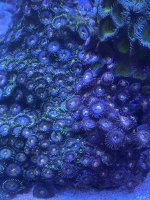 9166BE73-B6BC-496F-9EDF-F71E59A57A57.jpeg
