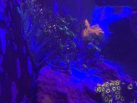 42E2B782-D5F1-4FC2-AB6A-531890892B36.jpeg