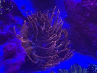 1736CF54-530F-4660-BD57-0A17C1C7E975.jpeg