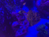 F6EBDFFC-9A6F-4883-971E-8026DF241C0C.jpeg