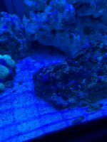 CC7F683E-157D-4D2D-9A2B-2AEA214E30C0.jpeg