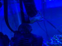 534EE047-B850-48AF-AA8A-289632BCBCD8.jpeg