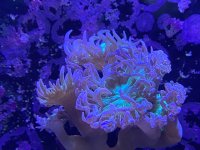 IMG_1772.jpg