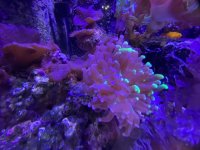 IMG_1776.jpg