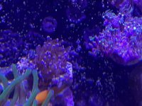 IMG_1778.jpg