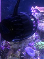 18096708-0F5A-4704-A205-B18FCF15924D.jpeg