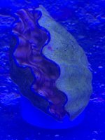 A6A4B21E-CC94-4EC3-AC51-1538E799AD9B.jpeg