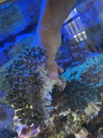 IMG_5389.jpeg