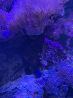 IMG_2840.JPG