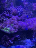 IMG_2841.JPG