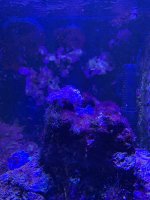 IMG_2842.JPG