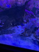 IMG_2845.JPG