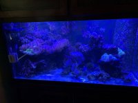 IMG_2846.JPG