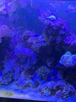 IMG_2857.JPG