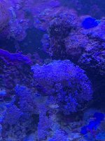 IMG_2859.JPG