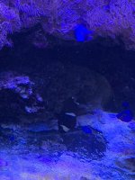 IMG_2860.JPG