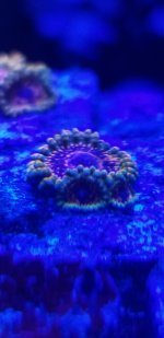 20210820_203843.jpg