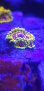 20210820_203853.jpg