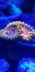 20210820_203703.jpg