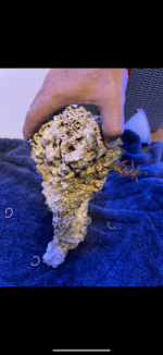 C16312C0-2345-4280-AF3D-AADF138AD539.png