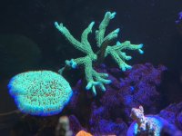 D347A137-8F90-433B-9E48-9AC21AA1EEBC.jpeg