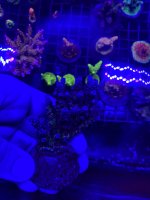 13656854-61B2-41F7-B789-9B6A28AA3549.jpeg