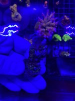 C5233451-A6D8-421B-A897-C39C7FF93B23.jpeg
