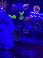 F50D42E2-76BB-4709-9A3E-10AE31349FB5.jpeg