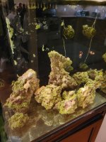 WhatsApp Image 2021-09-05 at 12.44.24 AM (1).jpeg