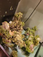 WhatsApp Image 2021-09-05 at 12.44.24 AM.jpeg