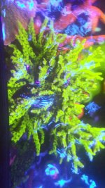 20210912_193812.jpg
