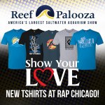 rapchicagoshirts copy.jpg