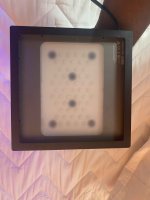 IMG_5746.jpeg IMG_5746.jpeg