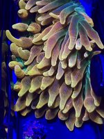 IMG_0764.JPG