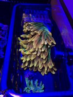 IMG_0765.JPG