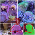 CollageMaker_20210926_140219834_compress88.jpg