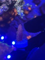 7984A65B-19DE-4A5C-969A-DE229029AF5D.jpeg