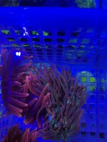 4D33F628-AF7D-40ED-9F76-2039CB2AE152.jpeg
