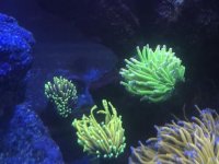 69094EBA-8D81-4888-AD1B-1378E292E489.jpeg
