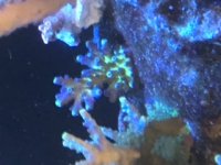 D369947E-A005-4679-9B69-D57729FB0F26.jpeg