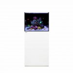 45.2-white-display__60752.1587505001.jpg