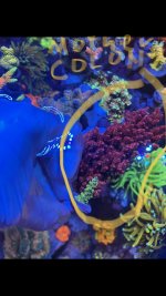 85BCDC6D-0884-4546-8E8D-8BBFC02777D5.jpeg