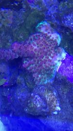 866B7D45-8293-4E38-BA05-C330530C5AF0.jpeg