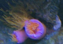 11-29-07 008.jpg