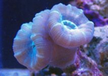 11-29-07 003.jpg
