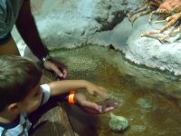 Atlantis Aquarium  9-15-2007 051.jpg