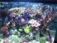100_1232.jpg