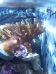 100_1233.jpg